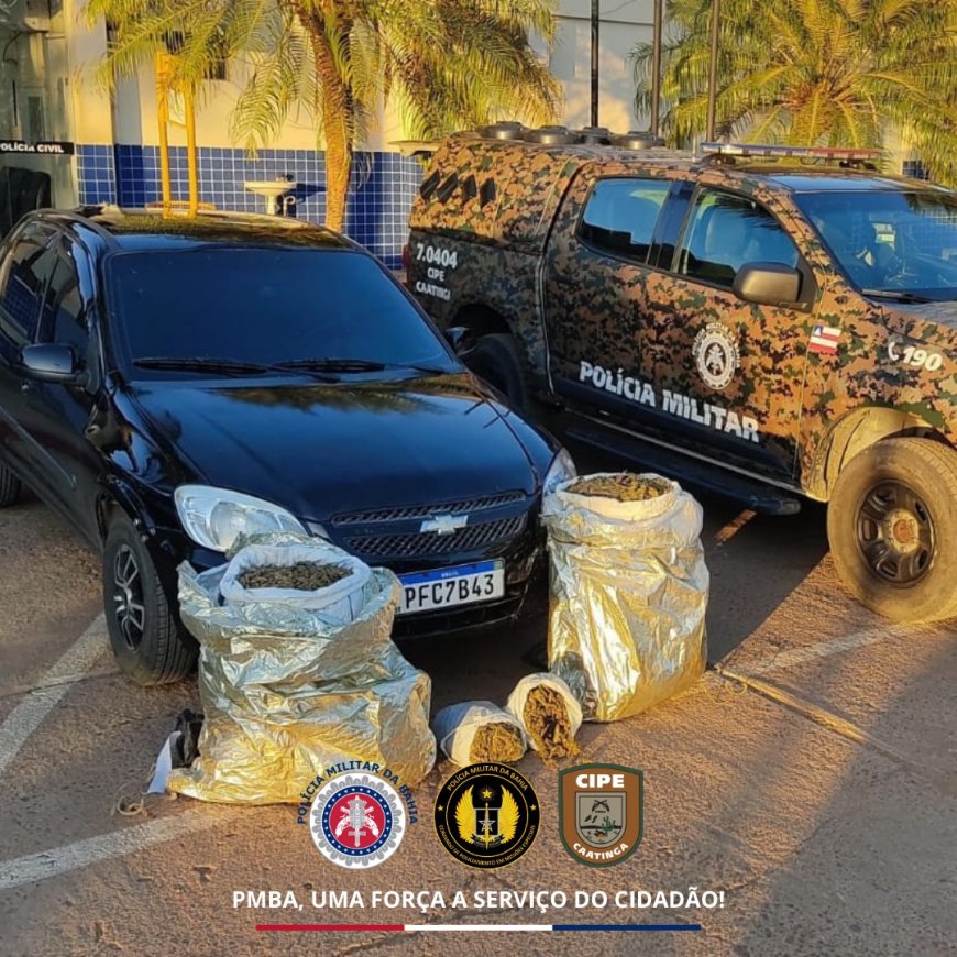 Cipe Caatinga apreende 28 kg de maconha durante abordagem a veículo em Uauá (BA)
