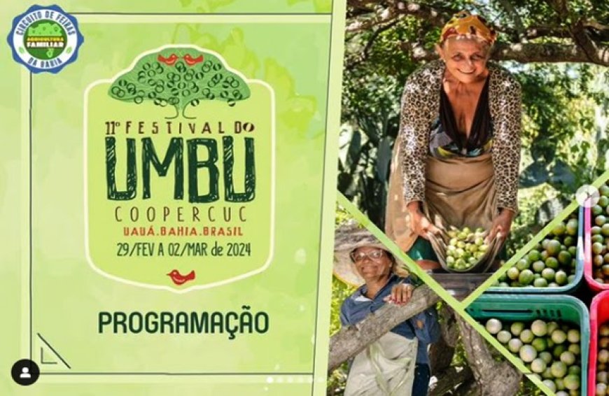 Seagri apoia a 11ª edição do Festival do Umbu, em Uauá
