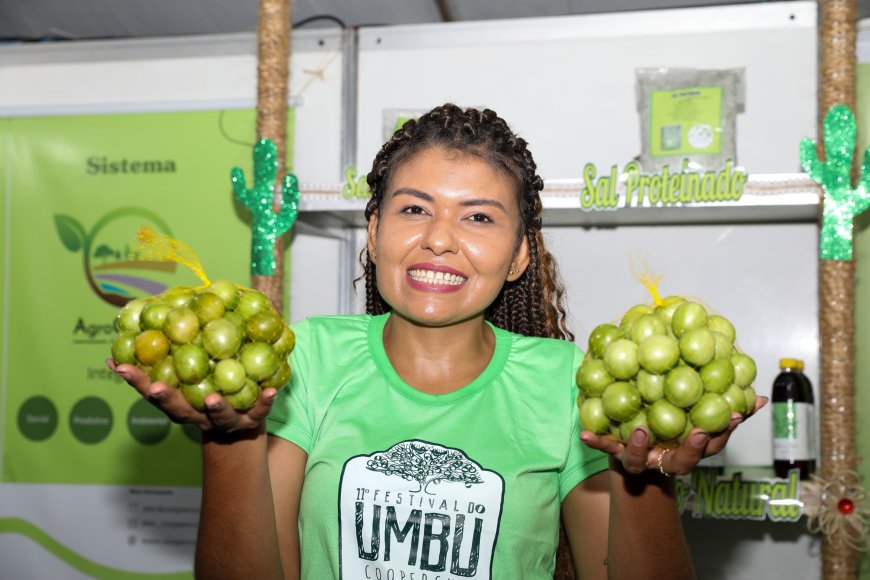 Festival do Umbu de Uauá abre espaço para comercialização de produtos da agricultura familiar baiana