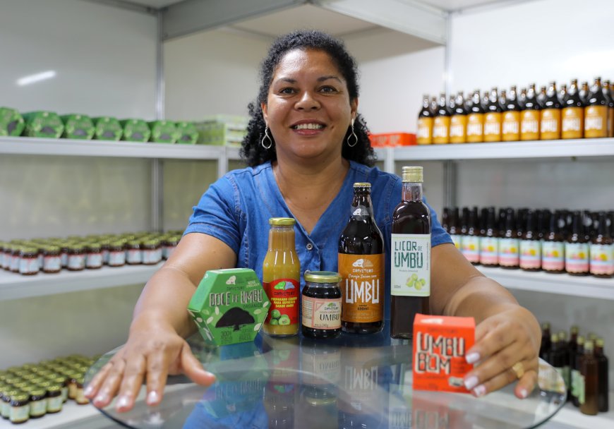 Festival do Umbu de Uauá abre espaço para comercialização de produtos da agricultura familiar baiana