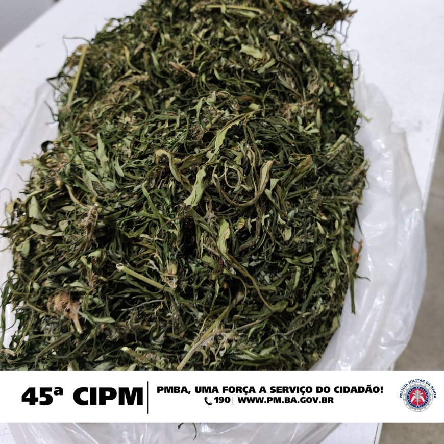 Ações da 45ª CIPM, resulta na apreensão de 07 armas de fogo, drogas e a prisão em flagrante por tráfico de drogas no município de Curaçá
